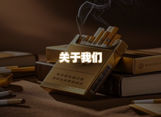 关于泰丝庄烟网